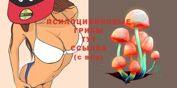 PSILOCYBIN Алексеевка