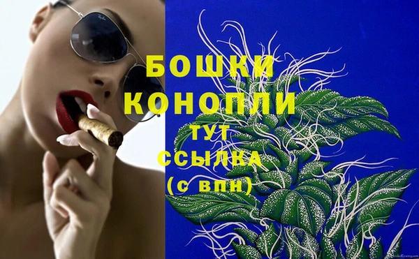 сатива Абинск