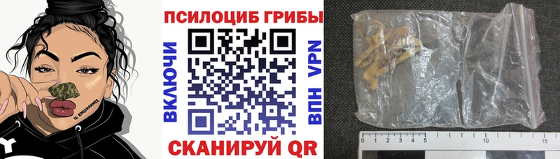 что такое наркотик  Фёдоровский  Псилоцибиновые грибы Cubensis 